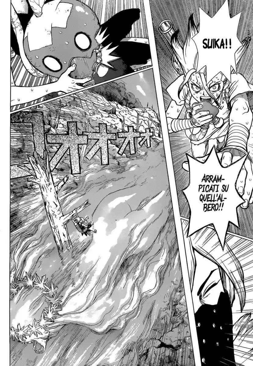 Dr. Stone Capitolo 49 page 12