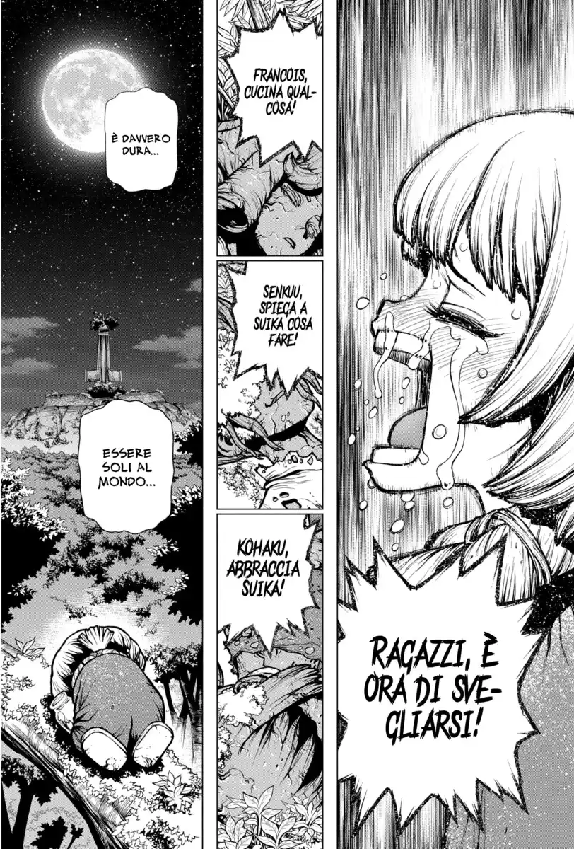 Dr. Stone Capitolo 194 page 14