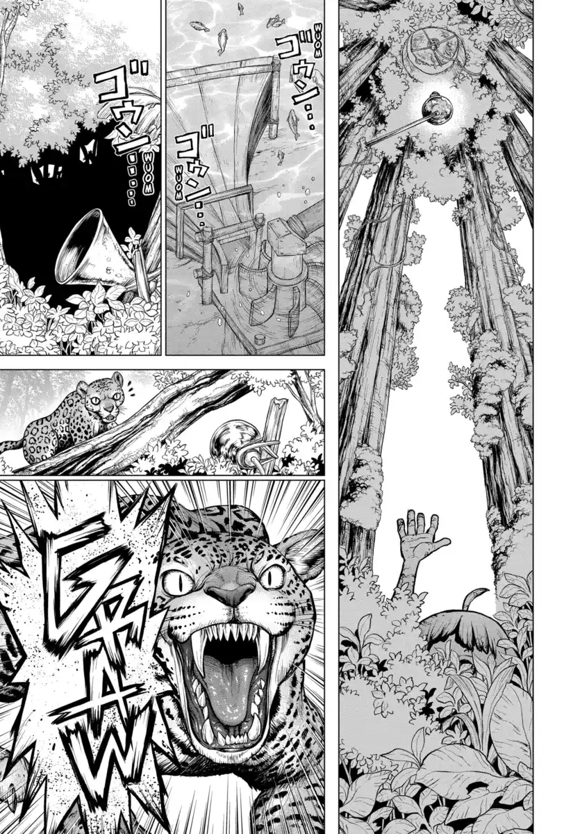 Dr. Stone Capitolo 194 page 4