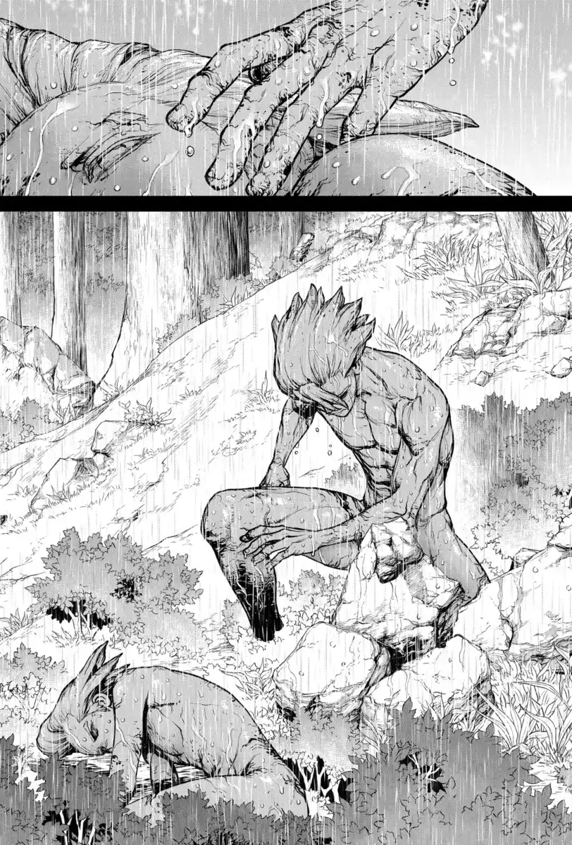 Dr. Stone Capitolo 157 page 14