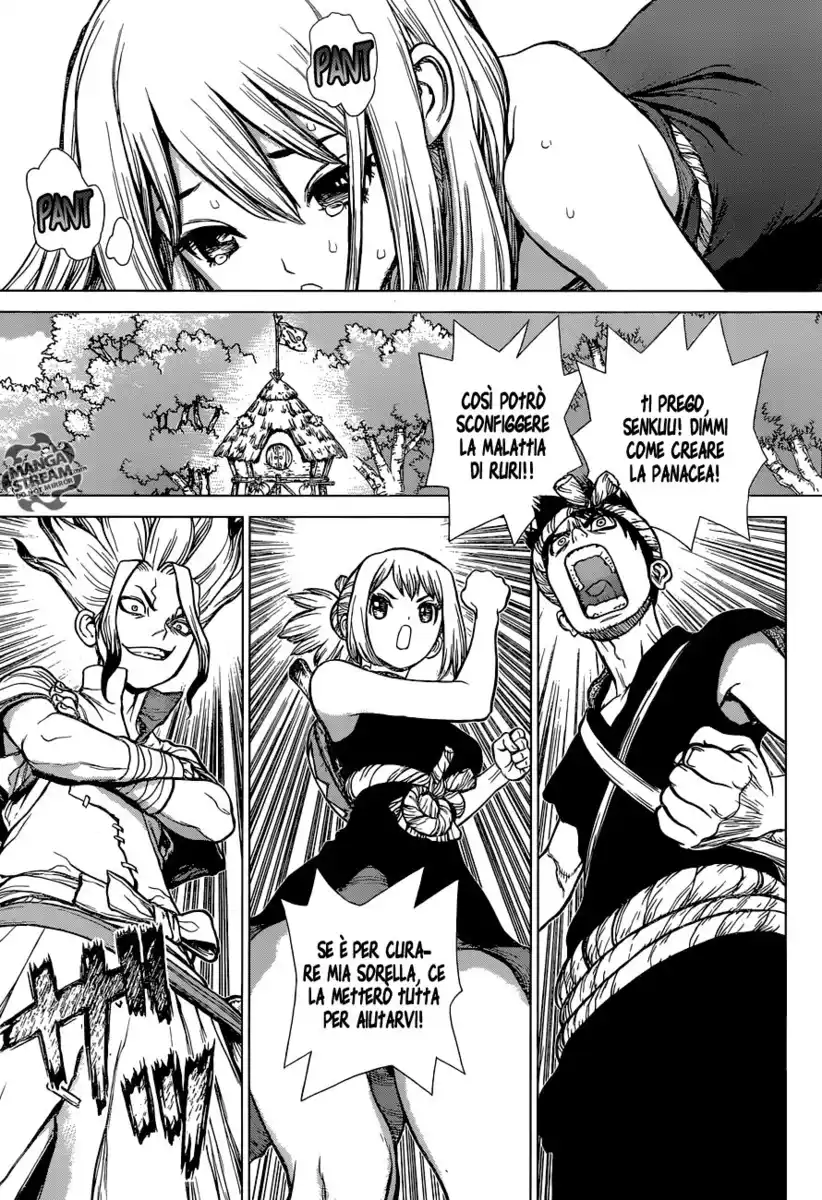 Dr. Stone Capitolo 20 page 5