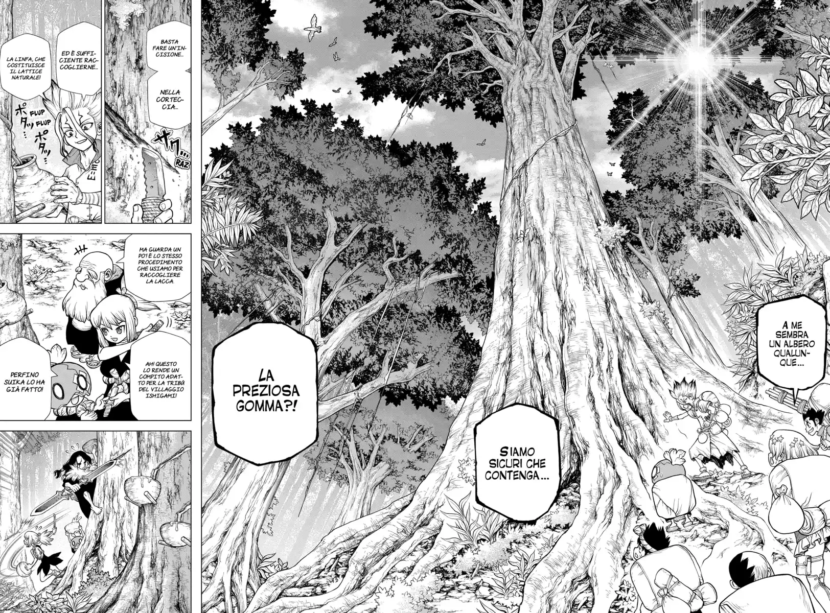 Dr. Stone Capitolo 174 page 12