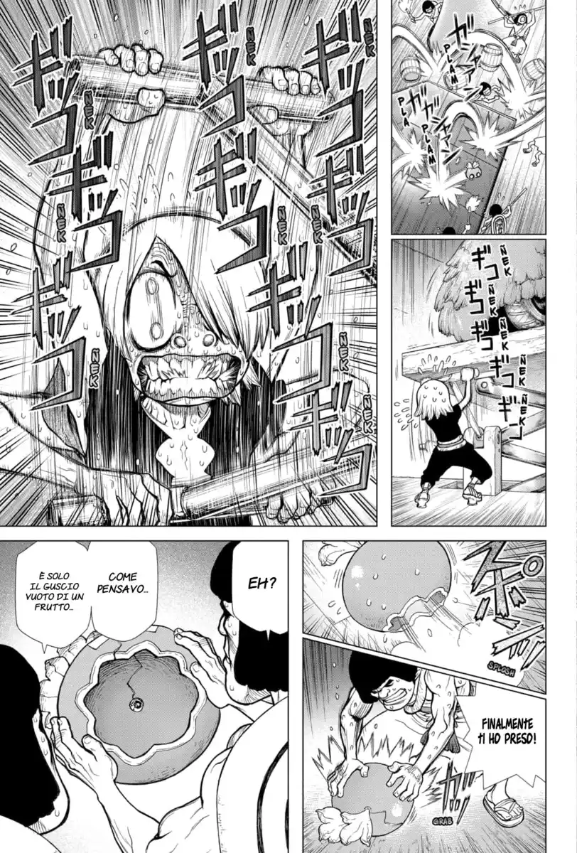 Dr. Stone Capitolo 109 page 11