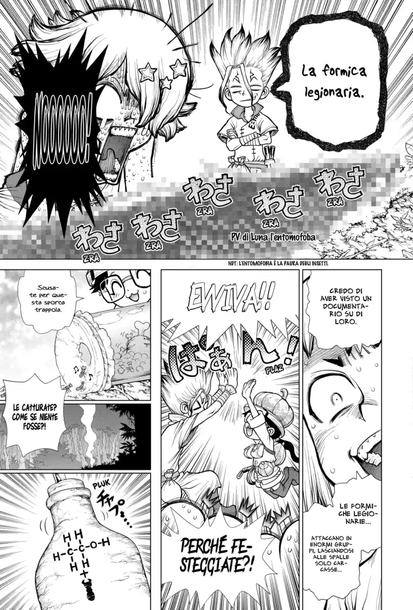 Dr. Stone Capitolo 180 page 8