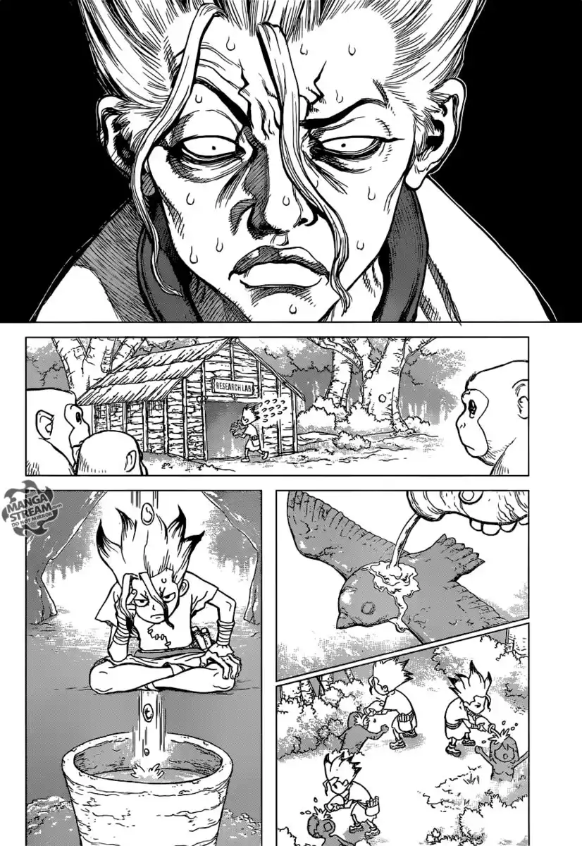 Dr. Stone Capitolo 14 page 12