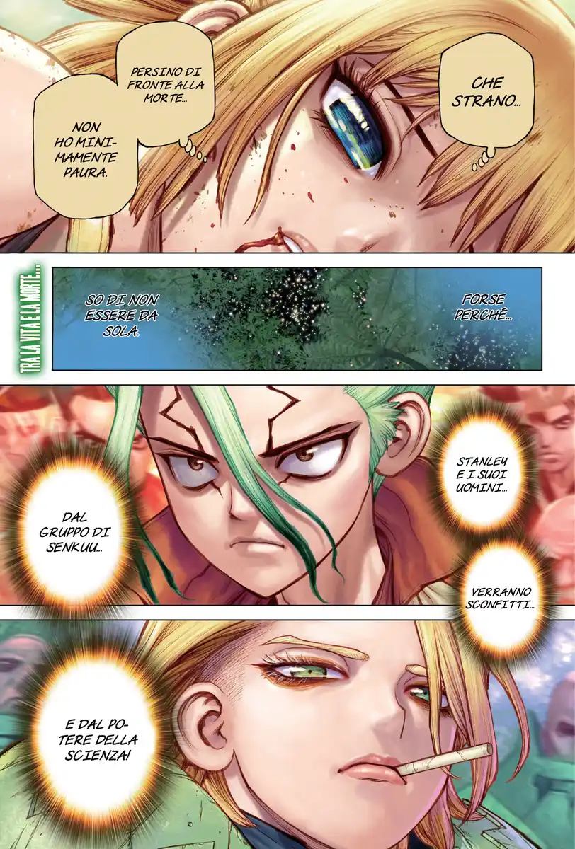 Dr. Stone Capitolo 189 page 3