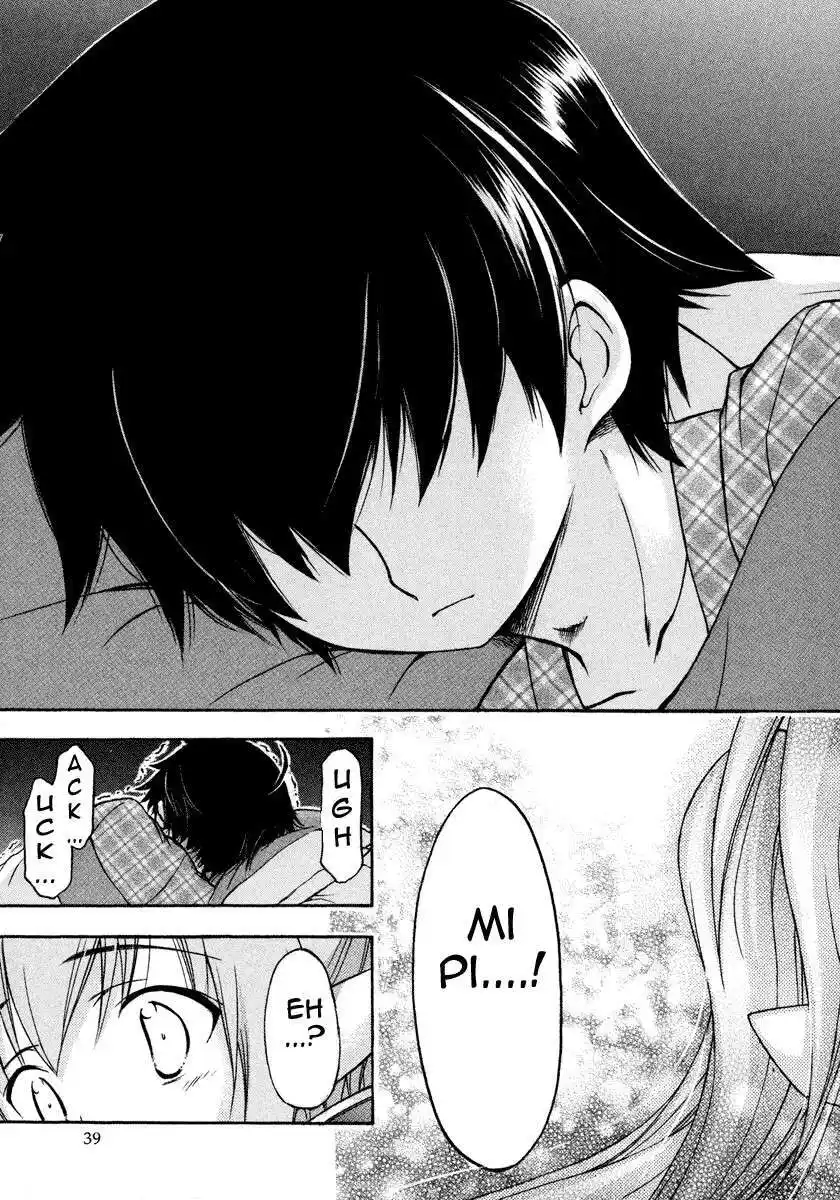 41