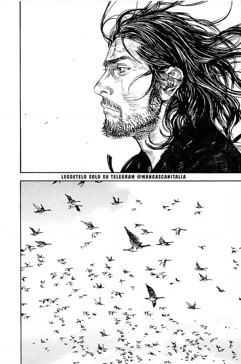 Vagabond Capitolo 294 page 22