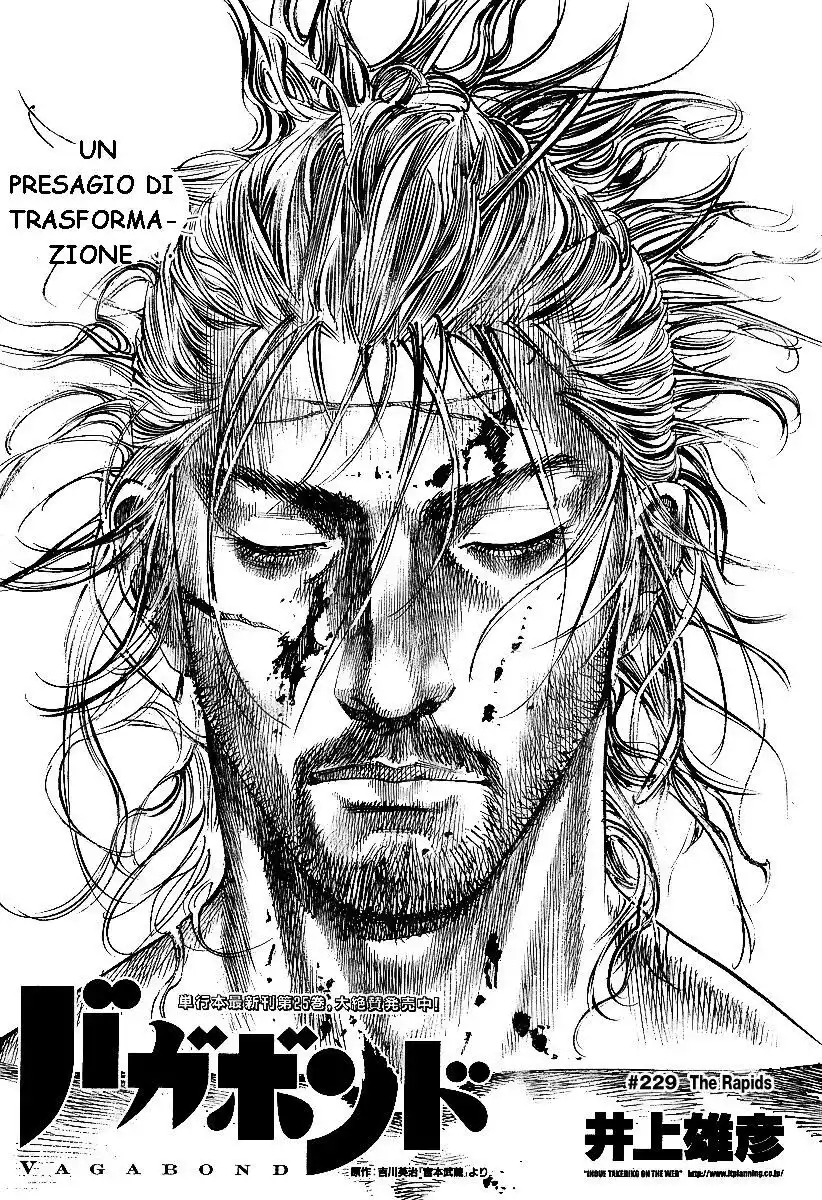 Vagabond Capitolo 229 page 1