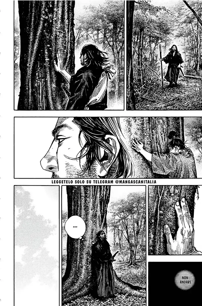 Vagabond Capitolo 303 page 29