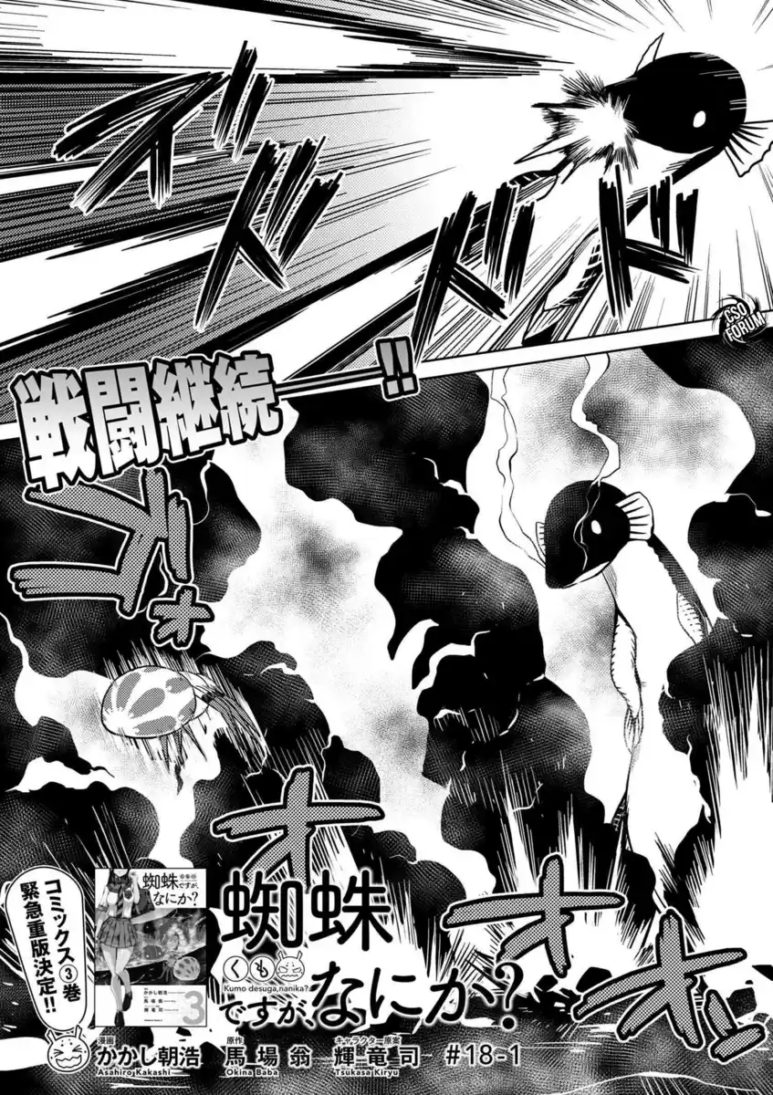 Kumo Desu ga, Nani ka? Capitolo 18 page 2