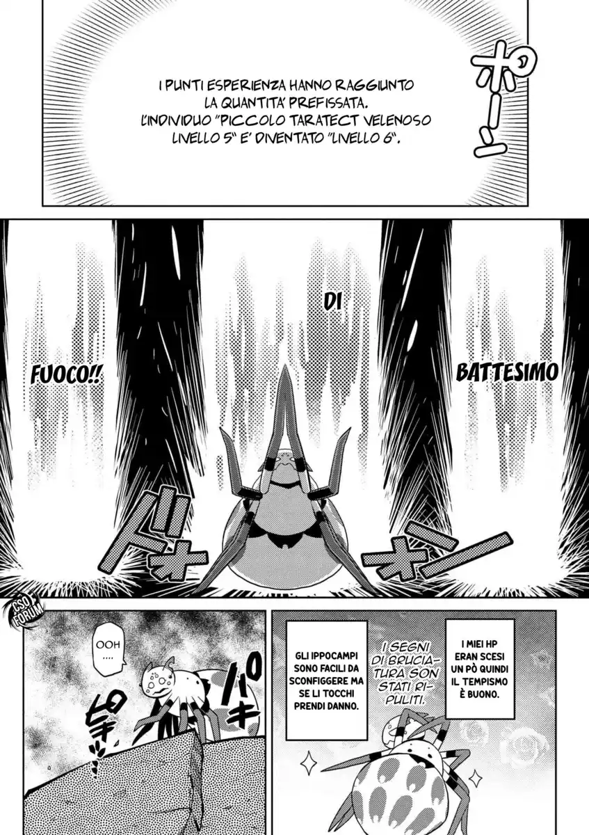 Kumo Desu ga, Nani ka? Capitolo 16 page 9