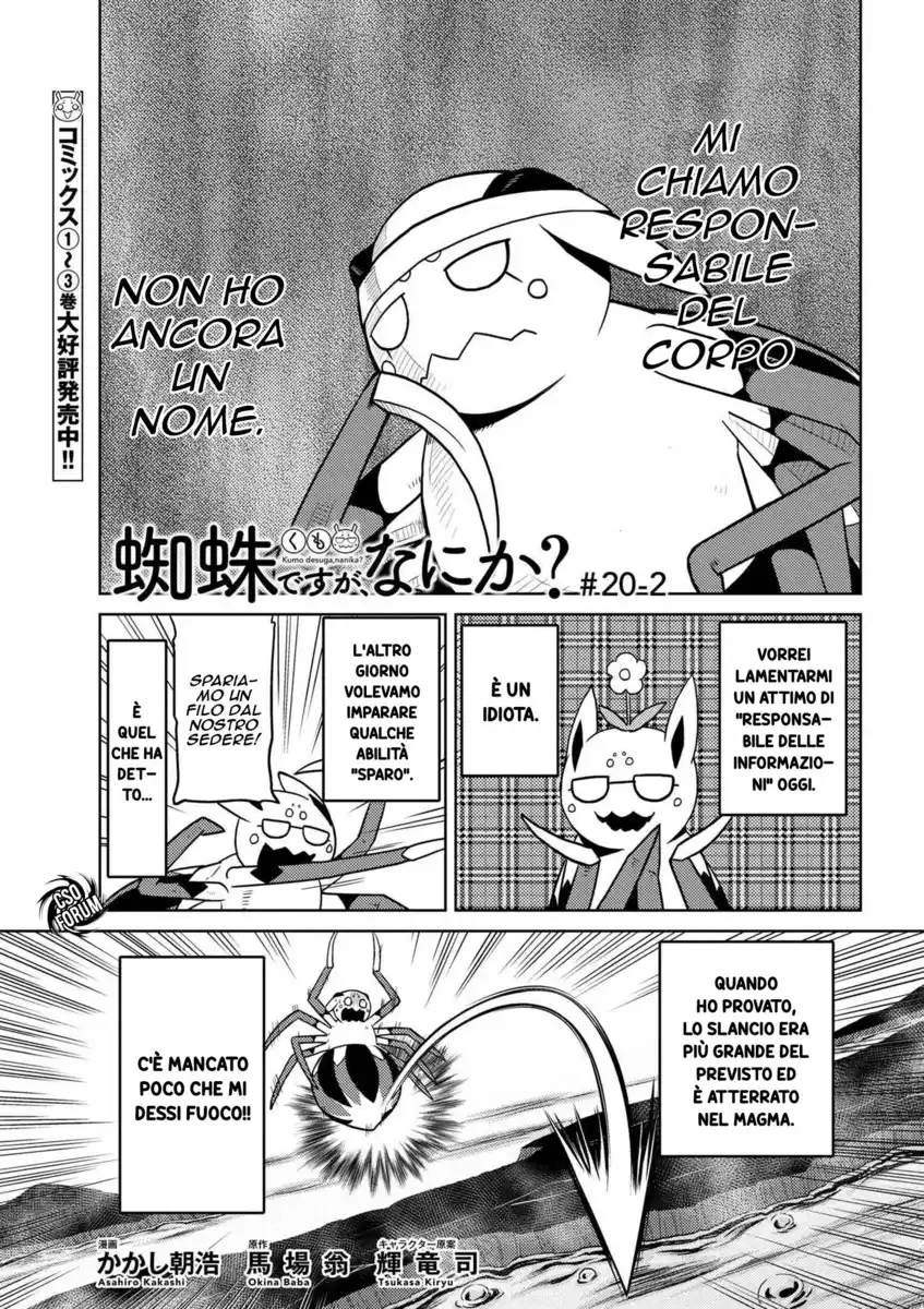 Kumo Desu ga, Nani ka? Capitolo 20.2 page 2