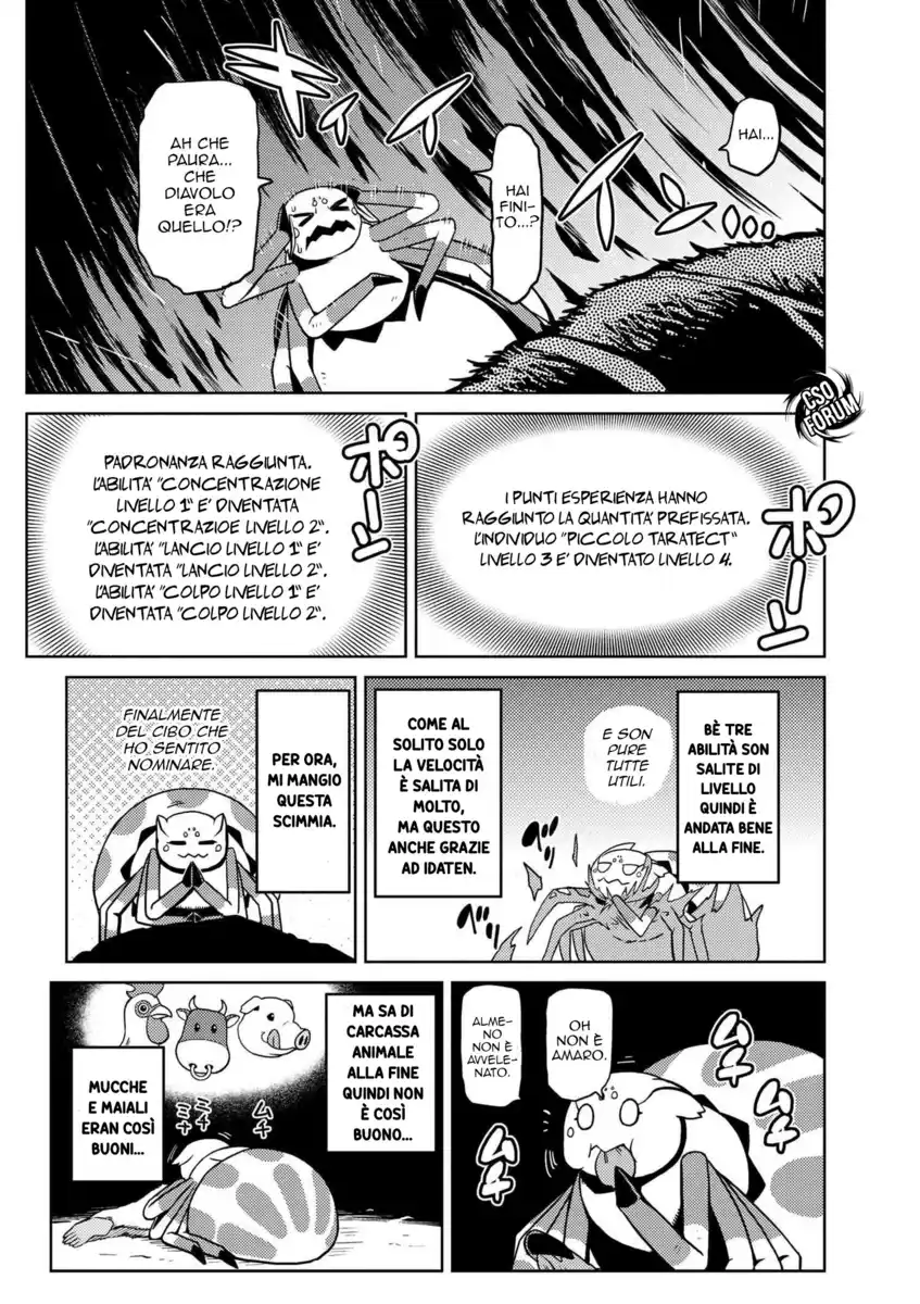 Kumo Desu ga, Nani ka? Capitolo 13 page 12