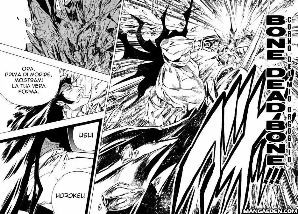 Shaman King Capitolo 287 page 14