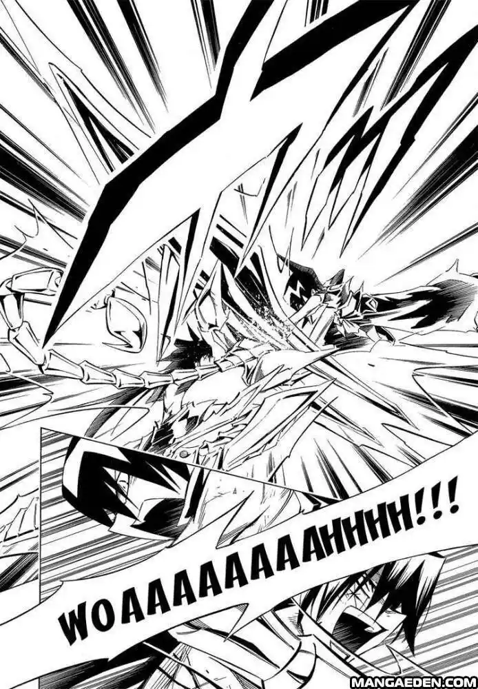 Shaman King Capitolo 291 page 12