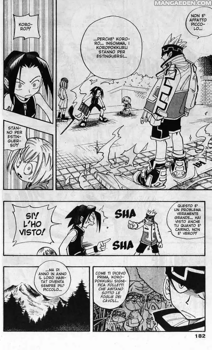 Shaman King Capitolo 35 page 13