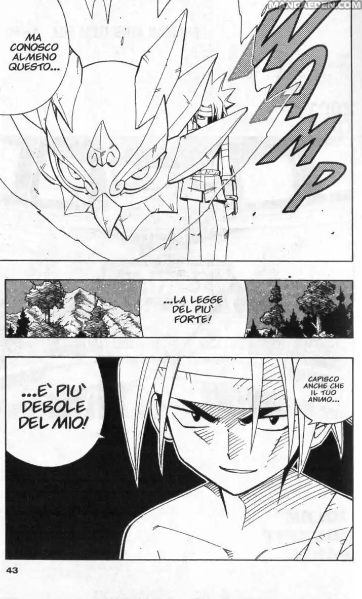 Shaman King Capitolo 203 page 18