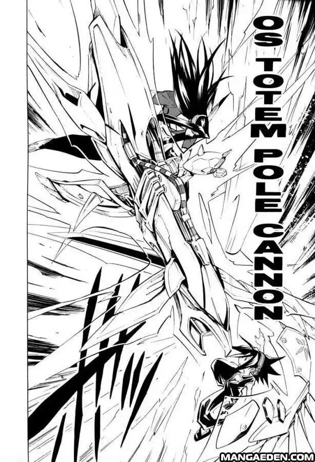 Shaman King Capitolo 294 page 10