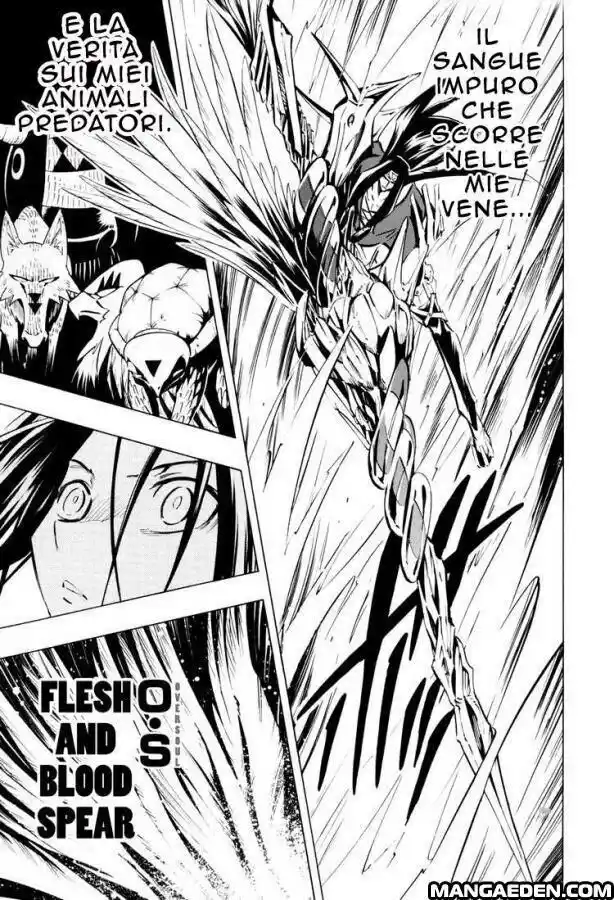 Shaman King Capitolo 294 page 13