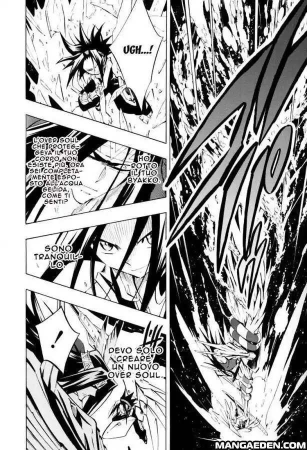 Shaman King Capitolo 294 page 14