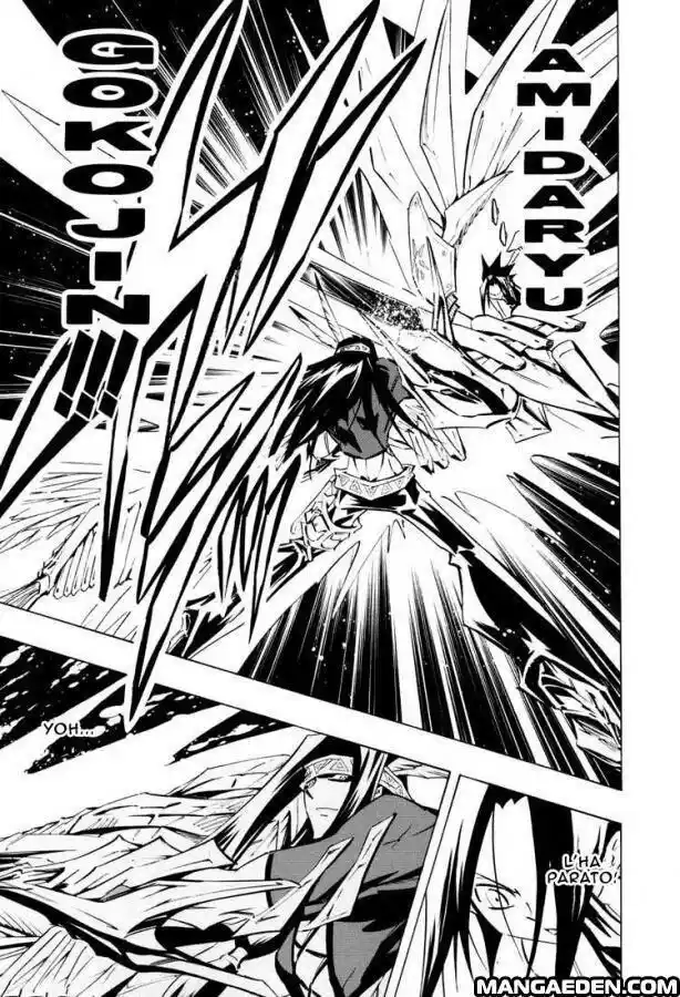 Shaman King Capitolo 294 page 15