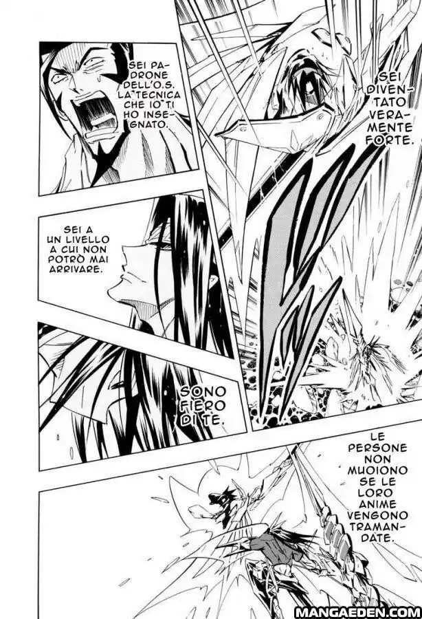 Shaman King Capitolo 294 page 16