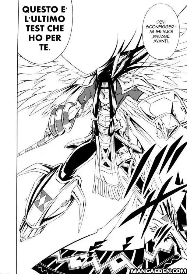 Shaman King Capitolo 294 page 6