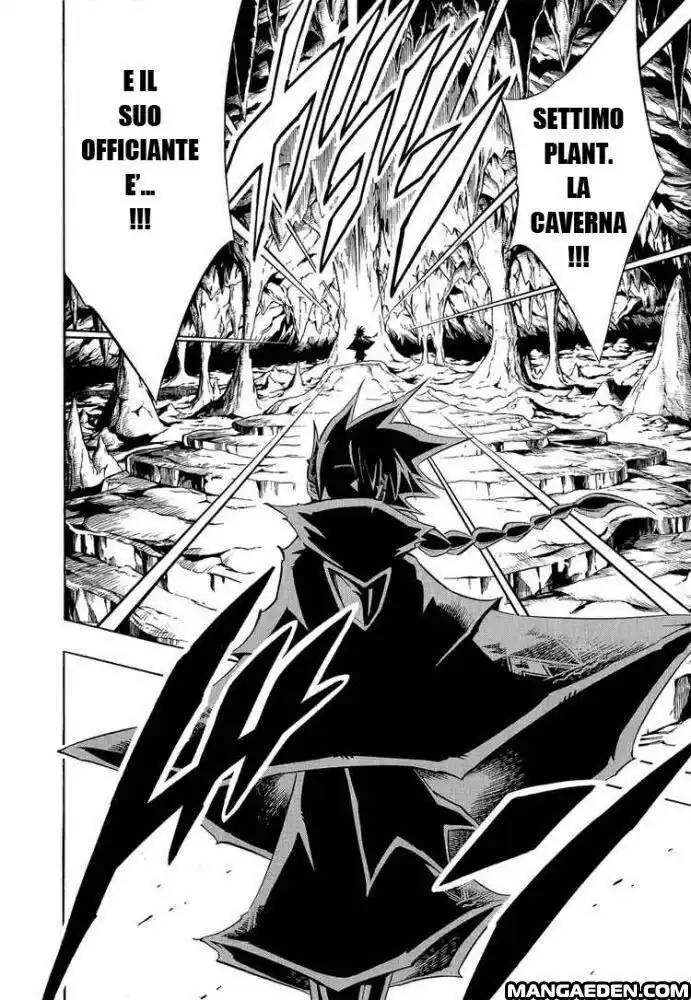 Shaman King Capitolo 290 page 10