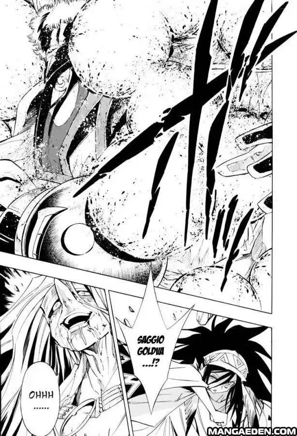 Shaman King Capitolo 297 page 11