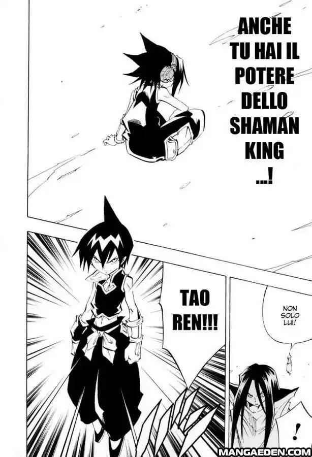 Shaman King Capitolo 298 page 12