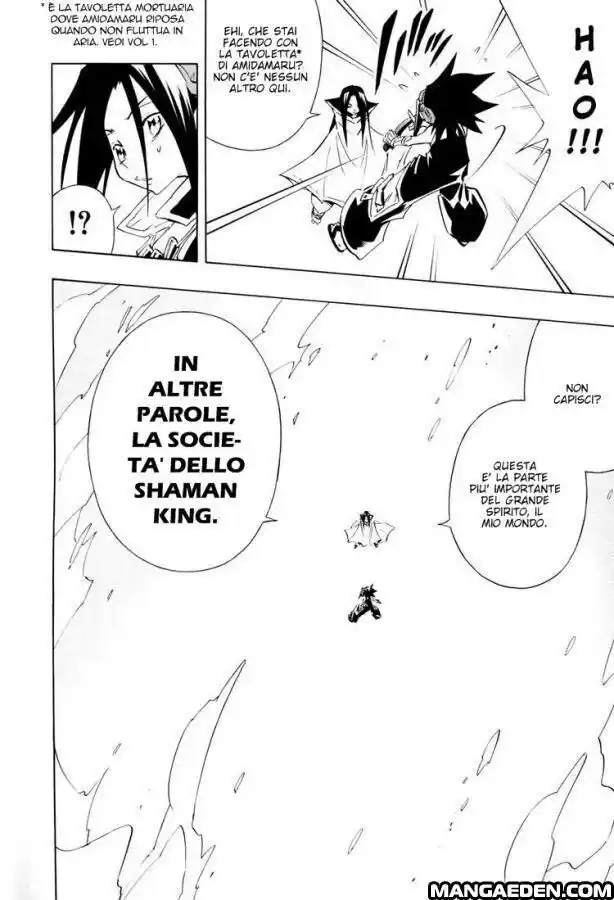 Shaman King Capitolo 298 page 4