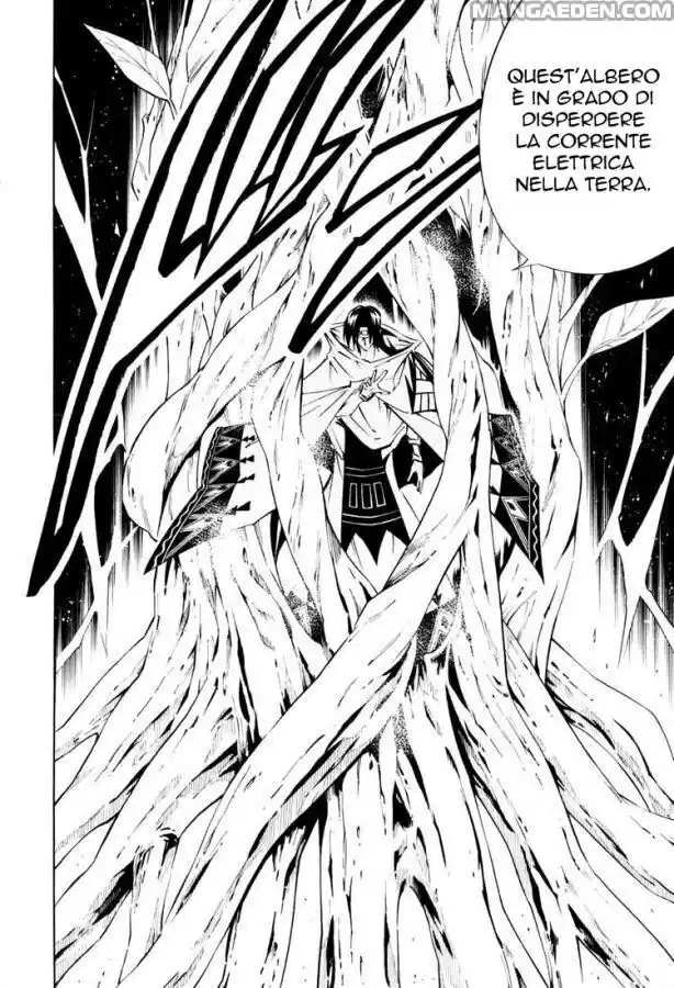 Shaman King Capitolo 292 page 12