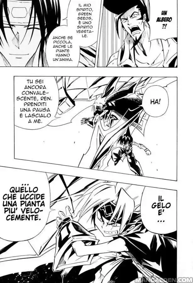 Shaman King Capitolo 292 page 13