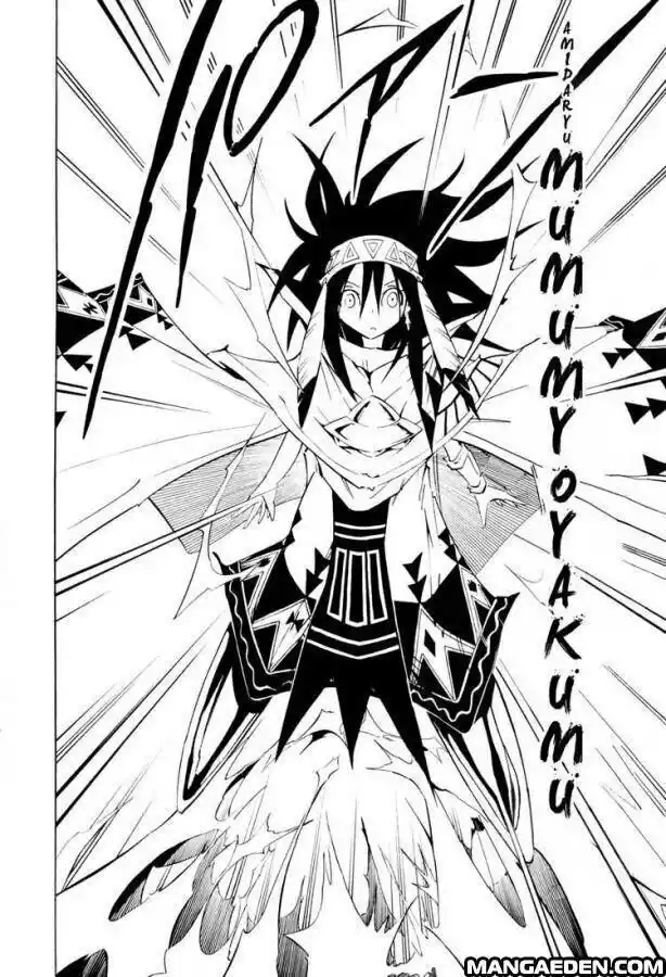 Shaman King Capitolo 296 page 12