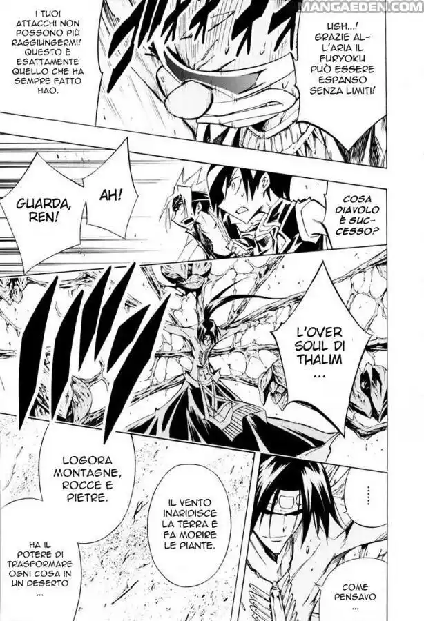 Shaman King Capitolo 293 page 13