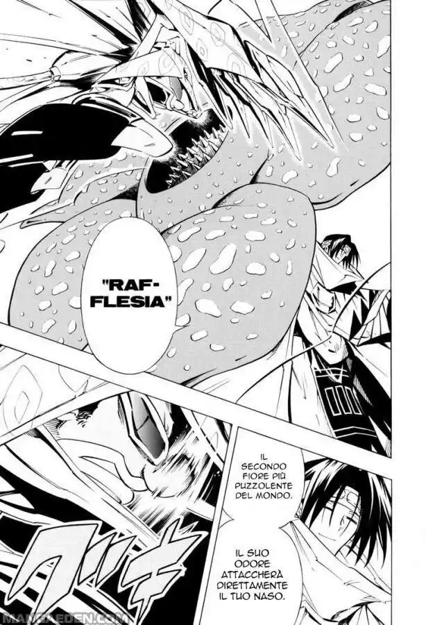 Shaman King Capitolo 293 page 5