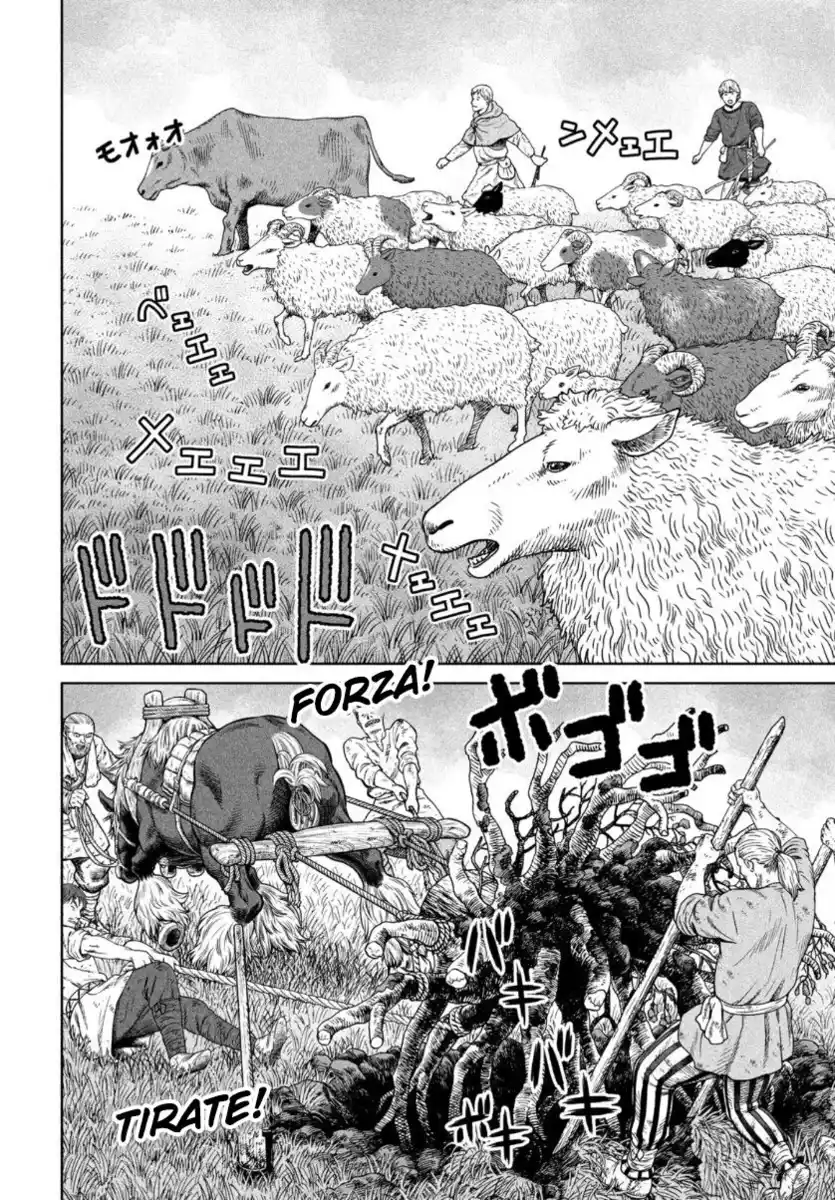 Vinland Saga Capitolo 181 page 5