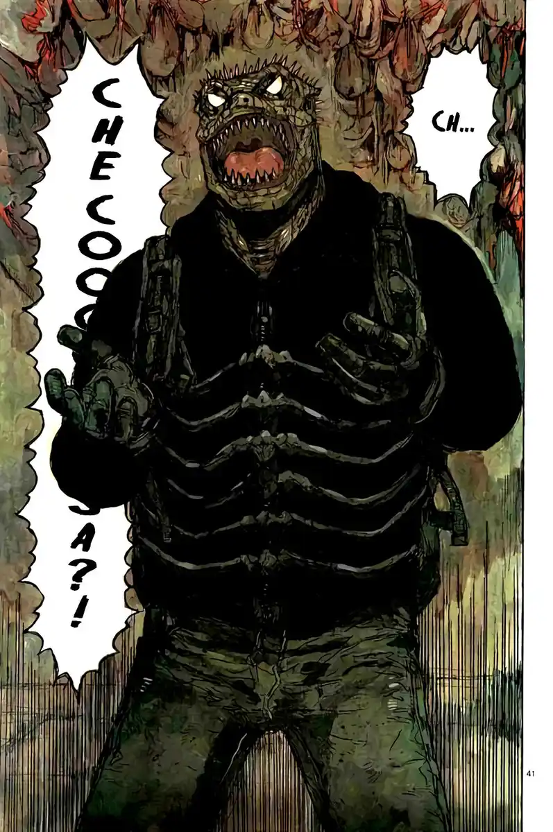 41
