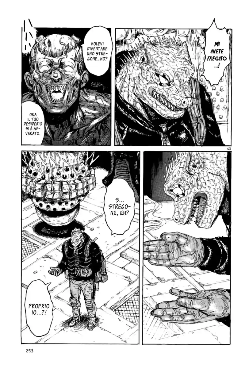 43