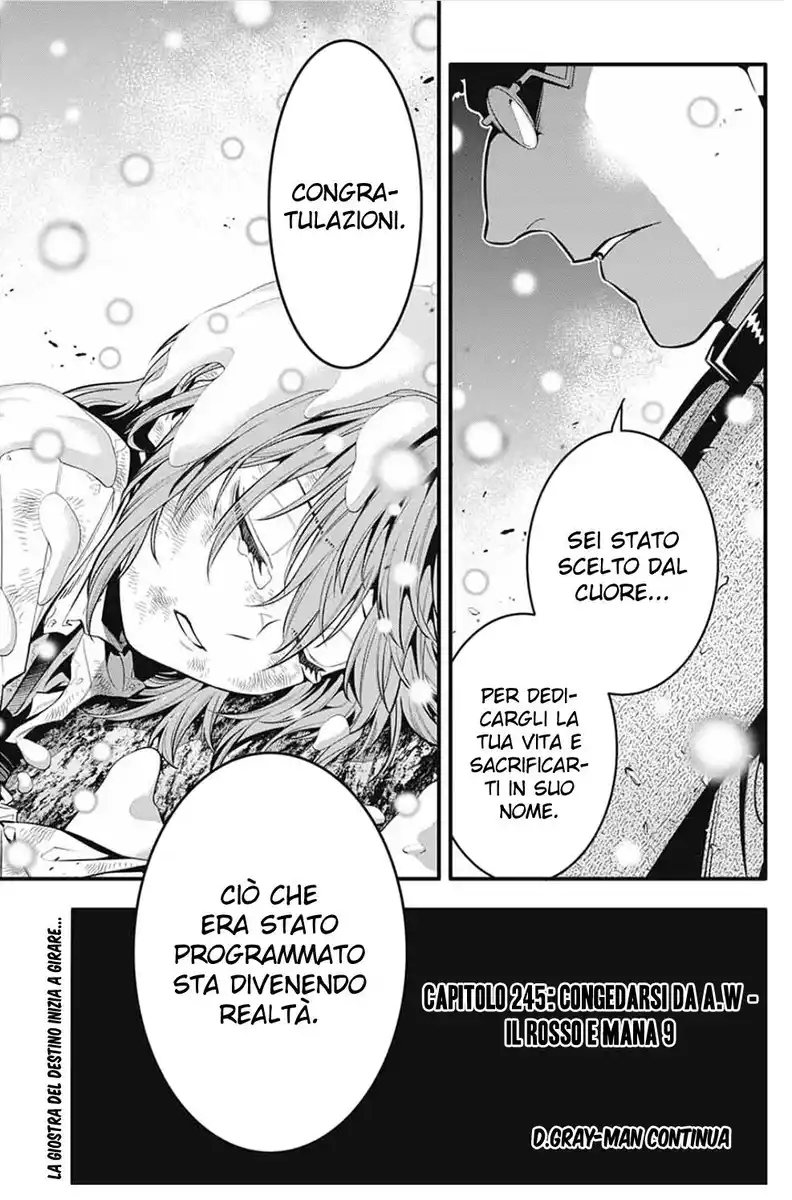 D.Gray-man Capitolo 245 page 17