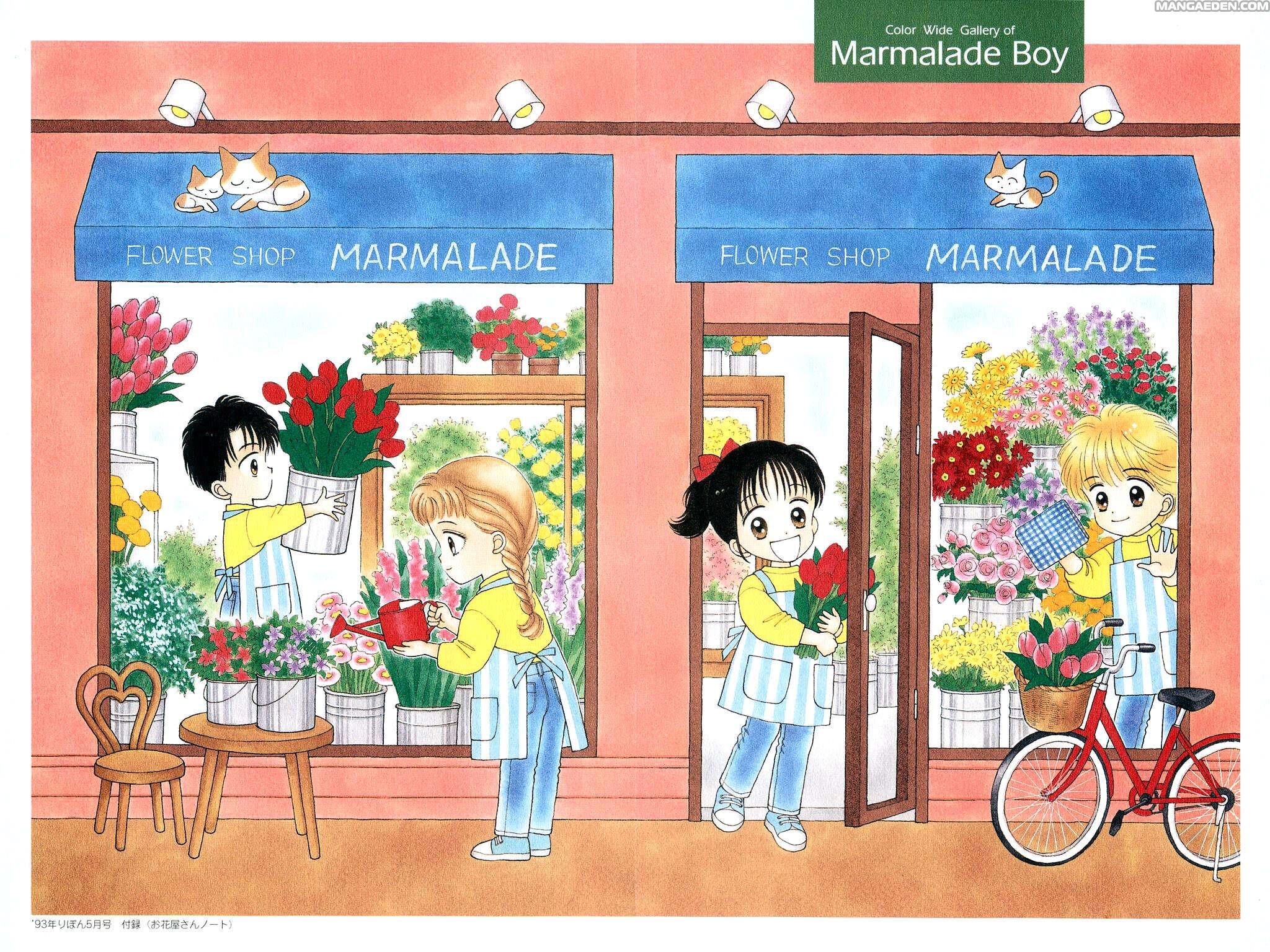 Marmalade Boy Capitolo 25 page 36