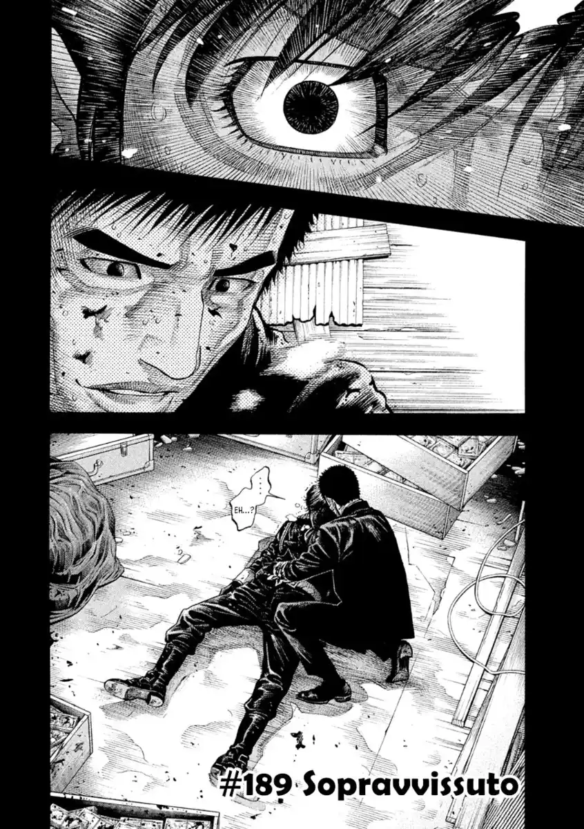 Montage Capitolo 189 page 2
