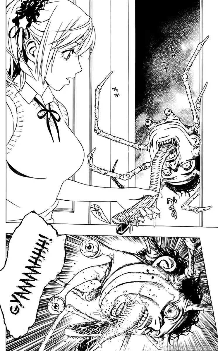 Rosario to Vampire - Season II Capitolo 28 page 14