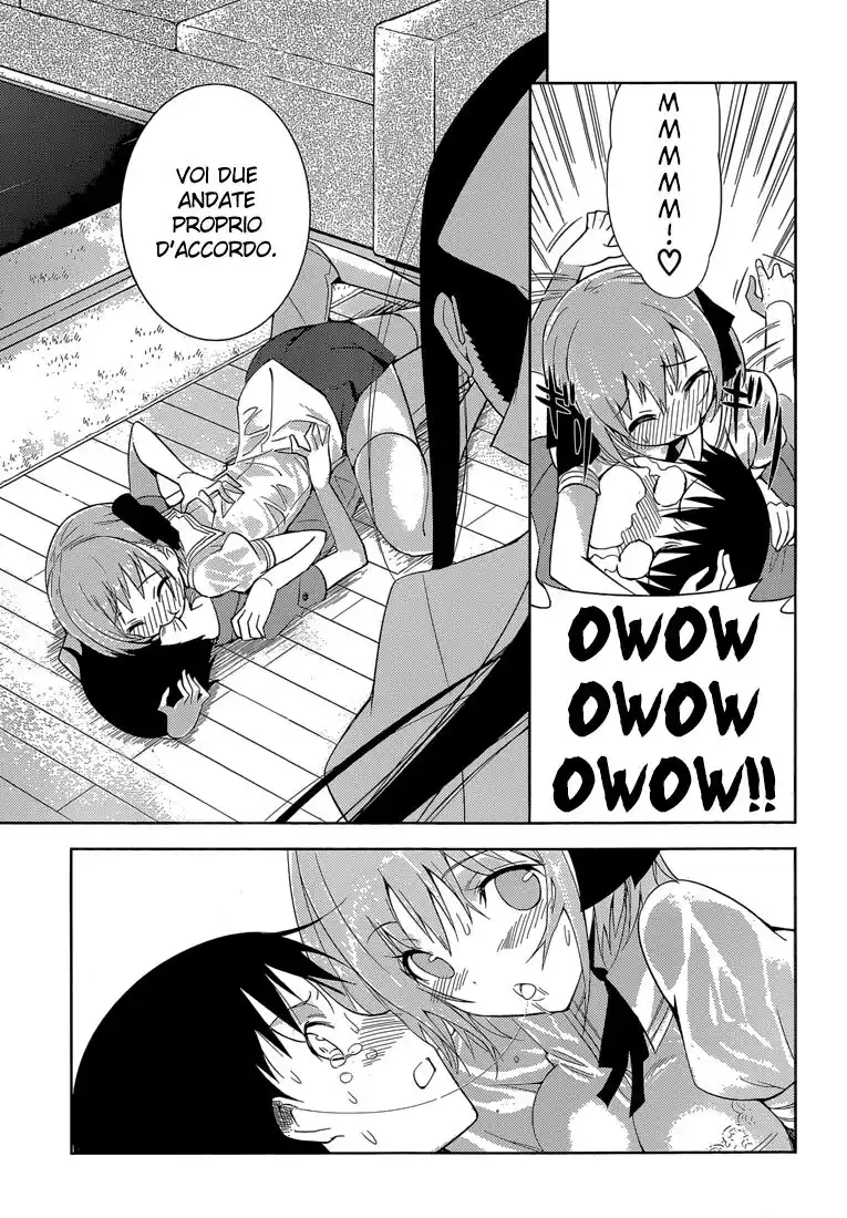 43