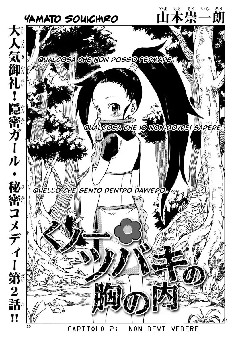 Kunoichi Tsubaki no Mune no Uchi Capitolo 02 page 2