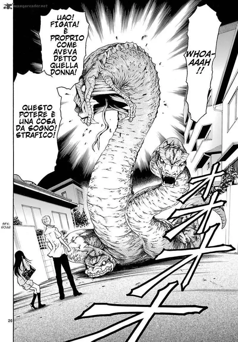 26