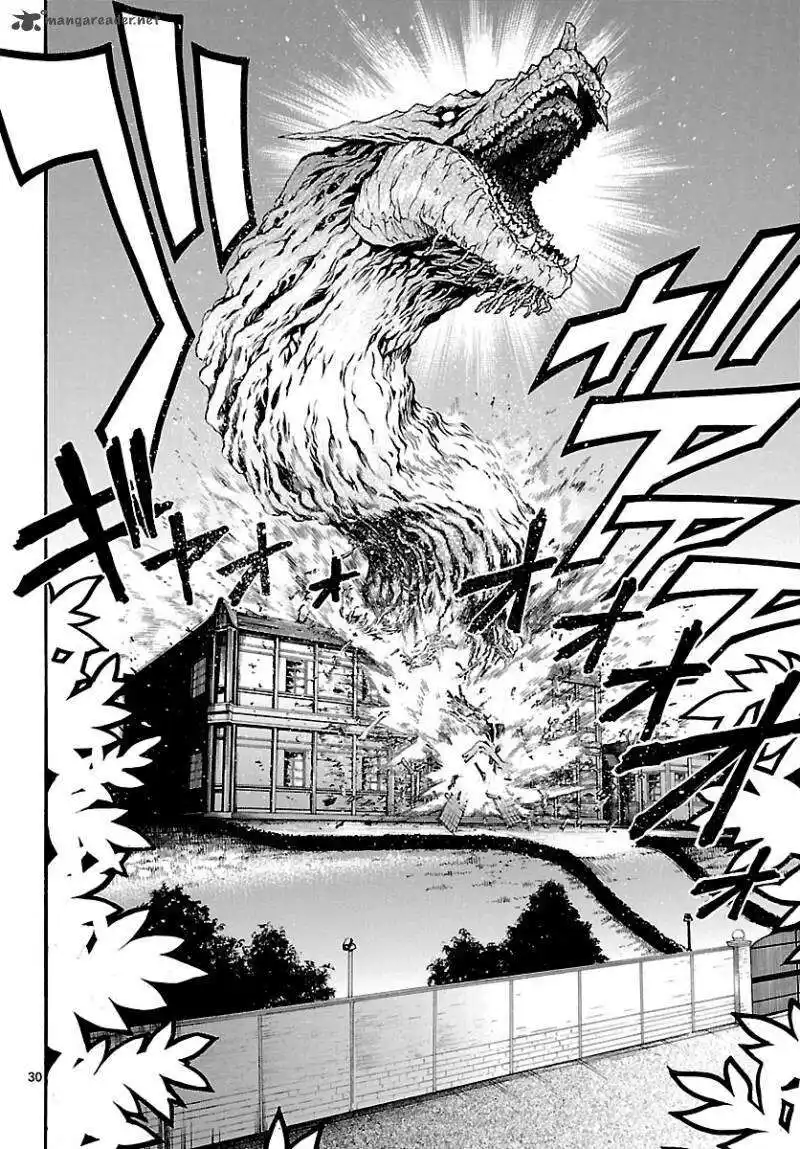 29