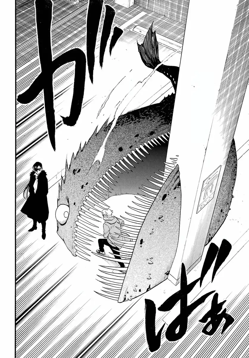 41