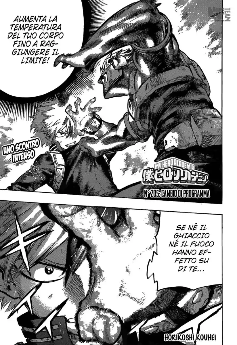 Boku no Hero Academia Capitolo 205 page 2